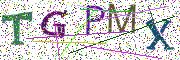 图形验证