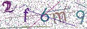 图形验证