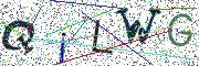 图形验证