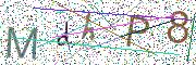 图形验证