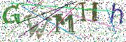 图形验证